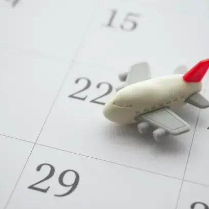 shutterstock_2464115063 (1).webp